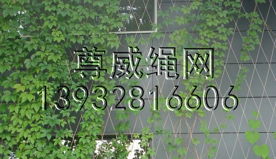 植物攀爬鋼絲繩網