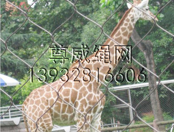 不銹鋼繩網 不銹鋼繩網
