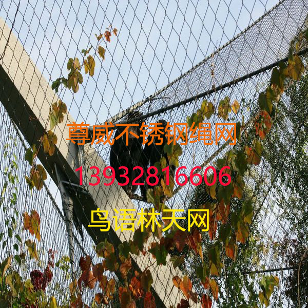 鳥語林網